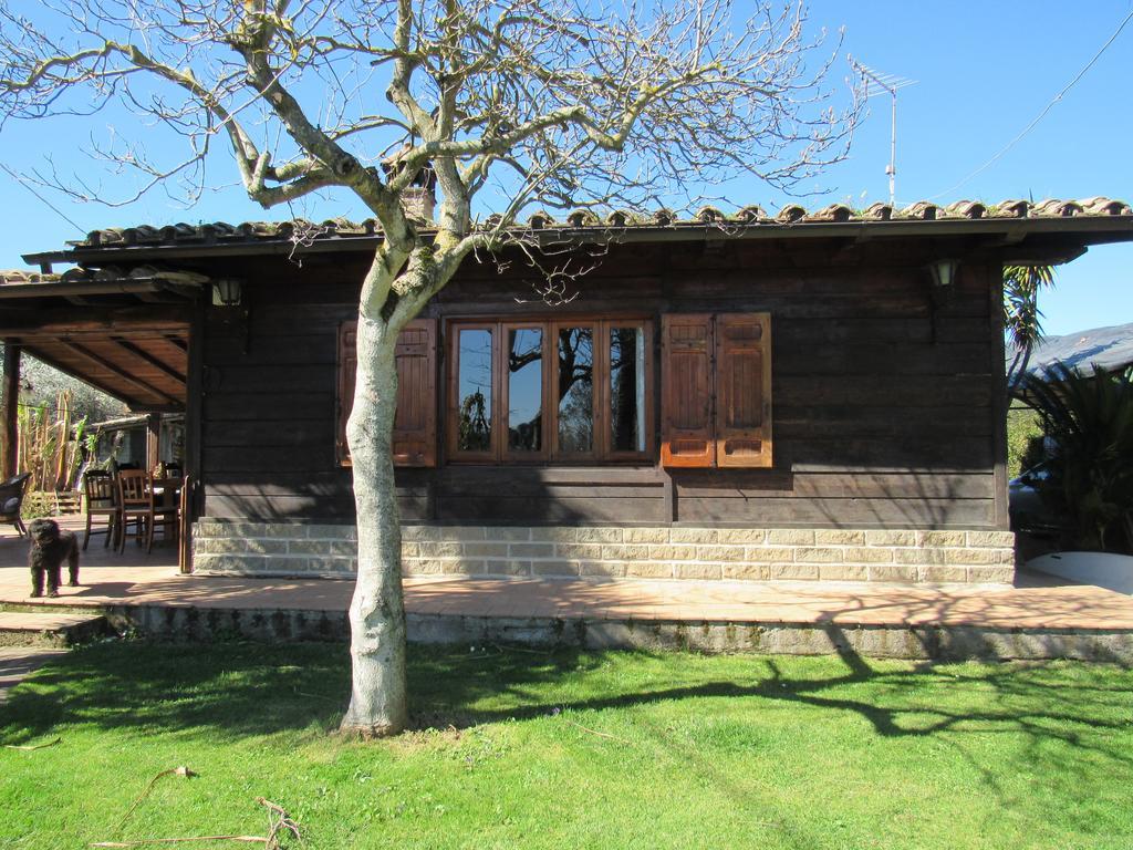The Lake Chalet Bracciano  Bagian luar foto