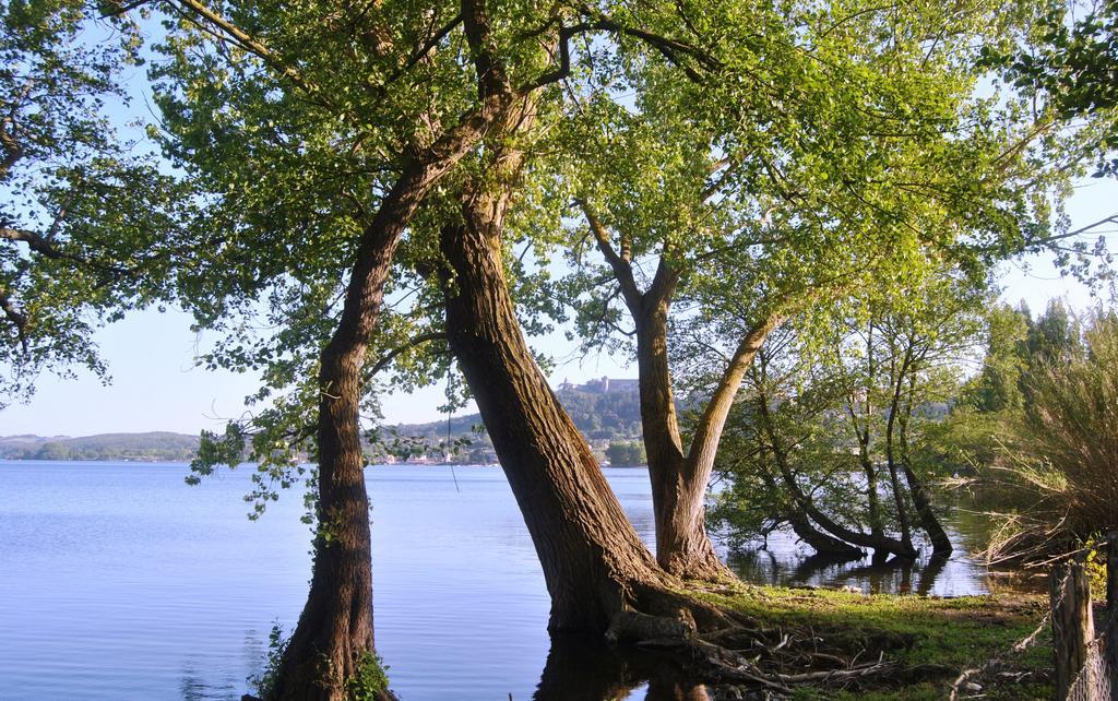 The Lake Chalet Bracciano  Bagian luar foto